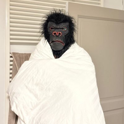 just a gorilla traveler who spawned in the crypto space. 🪐. join my free call channel on tg ! https://t.co/ywSsydUIp4