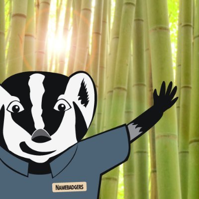 Namebadgers specializes in creating beautiful custom engraved bamboo name badges, signs, awards and more.