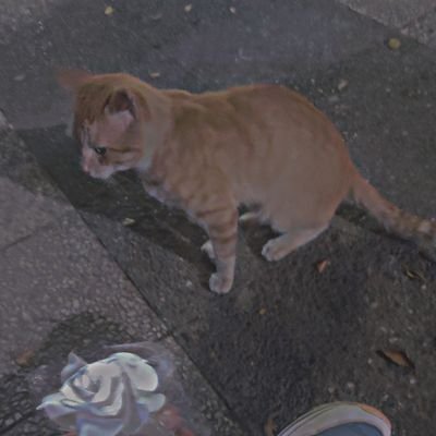 HananiNasr19576's profile picture. Ils sont meilleurs que toi😉