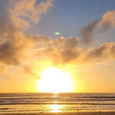 Ryan_Flinn760's profile picture. 