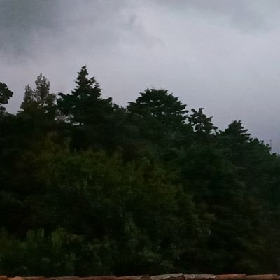 MarinetSon's profile picture. Alien