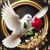 ابواحمد (@bwmd177582) 's Twitter Profile