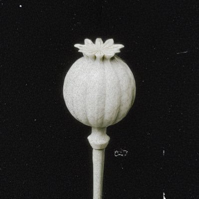 mferran422's profile picture. Photographer x AI artist Promptin’ Dopamine