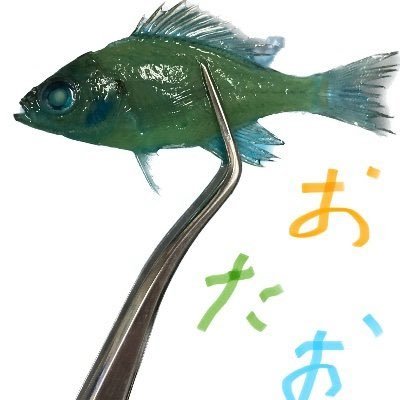 V6bTtv's profile picture. 水を得たおさかな
サブ→@goewR0AYNz15831