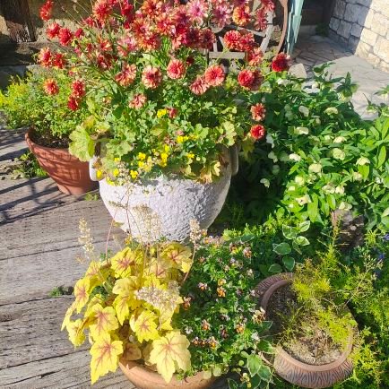 hyojinmoon2027's profile picture. FFWPU/UPF/WFWPU/DM🙅