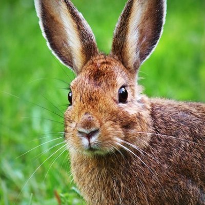 chudai_jav_xbcg's profile picture. 