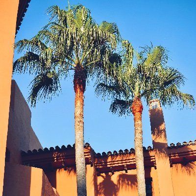 AlainAlaily's profile picture. Lifestyle Photography & Video | Capturing Moments that Inspire