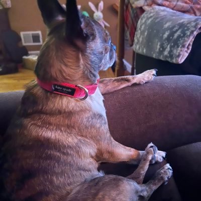 tfrag9's profile picture. 