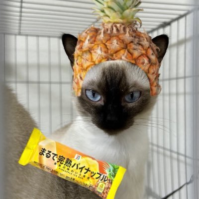 reji71172557's profile picture. 鑑賞アカ 無言フォロー失礼します