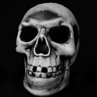 michael (@mikes_realm86) 's Twitter Profile