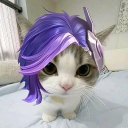 ShadowRanger_'s profile picture. Web3 enthusiast | Airdrop hunter | Exploring web3 thru Communities