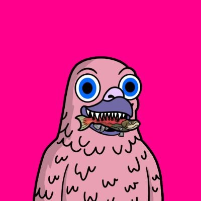 jimohhajji's profile picture. 