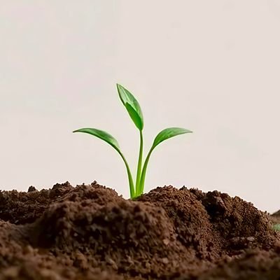 trlokesh9's profile picture. Live Travel