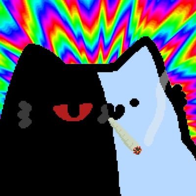 $nub maxi 🩵 @nubcat @cantstopnub @nubkitty @nubreply @sillynubcat @nubcoin @nublore @sillynubcoin @nubpression @nubmakerbot @LeonKarssen | https://t.co/dlUSWqPrIa