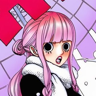 Eu gosto de One Piece e do BLACKPINK e torço pro Palmeiras