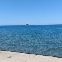 たけ (@taketo_dedede) 's Twitter Profile