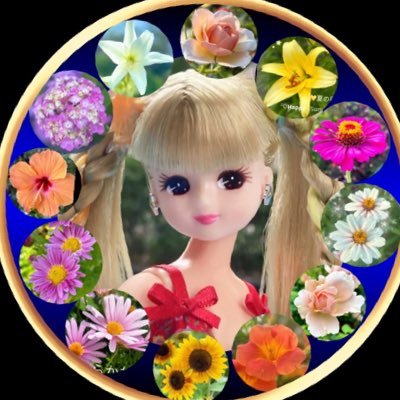 ようこそここへ🕊自然𖡼.𖤣🌱四季の花 ✾𓈒海𓇼 愛猫🐱と過ごす🫧𓂃身近にある小さな幸せ♡✩⡱癒しを見つけたい ✩.*𓈒slowな日常✿🫧✻*今を一生懸命に生きる✩✰꙳命の大切さ喜びを感じ 雑学と実り多き日々に✩ .*・゚ #今日も生きてることに感謝♡