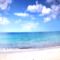 AmberWagne5754's profile picture. Versatile And Encouraging And Persuasive. Love real estate investing, coding, surfing. Working In Investment Banking On Wall Street.