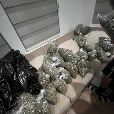 Indoor🍁s,Deps, Lows, Disposables💨, Shrooms🍄, pills💊 , LSD🧩, Coke ❄️
Concentrates . Shipping worldwide 🌏 📦 ✈️
potato 🔗 below tap'n got you'll right 💯