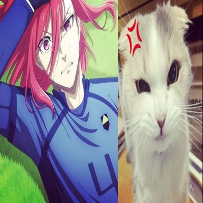 cooperssun's profile picture. she/her, mob100 + bsd is peak