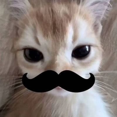 Melzahar_'s profile picture. 👾👽🏐
Don't give up, even when you're tired 
#5