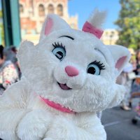 まんまる (@__manmaru__1) 's Twitter Profile