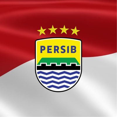 PERSIB Profile