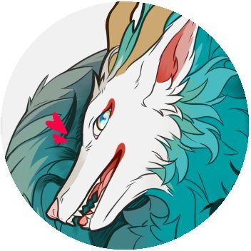 Quetzolさんのプロフィール画像