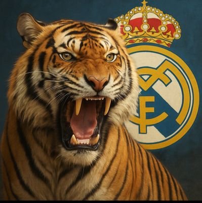 Saafinsaan's profile picture. @realmadrid and ICT🇮🇳 ||  Hate both feku and pappu|| Agnostic ⚛️|| Proud anti-semetic