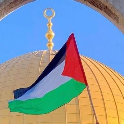 MuzammilUNizami's profile picture. Standing For Palestine 🇵🇸 | Pakistani 🇵🇰 | PTI | IR & Geopolitics Enthusiast