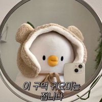 가을 (@fall_in__01) 's Twitter Profile