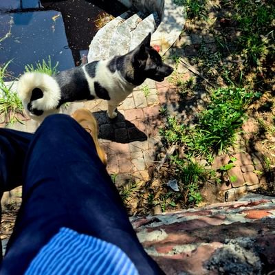RicchiEsDumb's profile picture. Lucky Boy Syndrome 🍀 | Praise The fool 🃏🎩 |