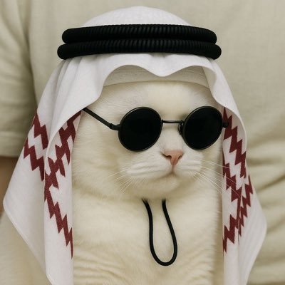 Xavier2211's profile picture. 