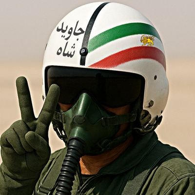 Aashiane's profile picture. سرباز شاه • کارگر • در رویای پرواز • پاینده ایران 👑