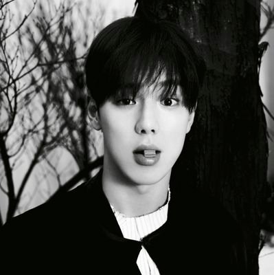 monbebe7777777's profile picture. 