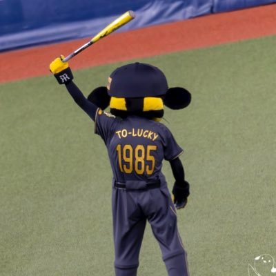 SE74421425's profile picture. カワセミを中心に野鳥撮影をしています。#カワセミ #野鳥 #野鳥撮影