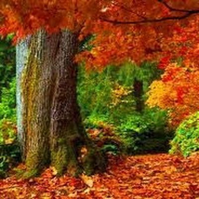 captain319100's profile picture. 