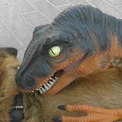 恐龍小精靈さんのプロフィール画像