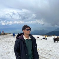 Manthan Maheshwari (@manthanm30) 's Twitter Profile Photo