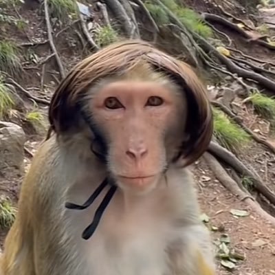 monkeycitizen47's profile picture. Entusiasta de la premier y futbol europeo en general

Aguante el colo ⚪⚫ y siempre Sanchez sera mas que Hazard