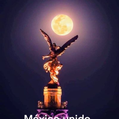 Educación, cultura, ética y política son mi pasión. No apto para zombies ni 🤖