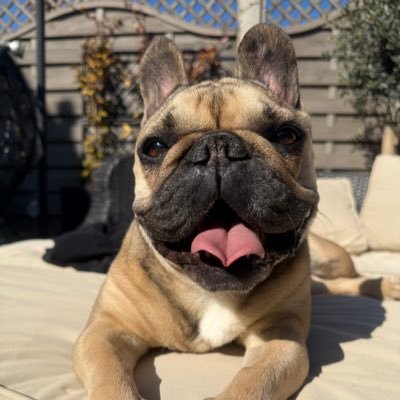 stew1eee's profile picture. love crypto and nft collector
