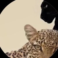 سدن✨ (@suden093) 's Twitter Profile