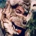 Gato Ortiz (@gatoortiz2001) Twitter profile photo Gato Ortiz (@gatoortiz2001) Twitter profile photo