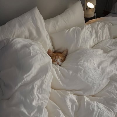 HeroineAt25's profile picture. にじゅうごじ