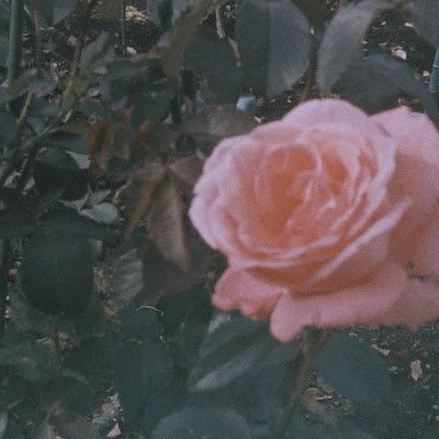 tryym275722's profile picture.