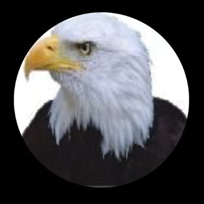 ogadavoo6423286's profile picture. BXDUYFWV