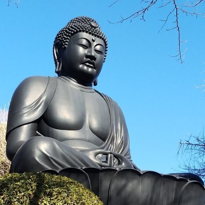 mixjuicess's profile picture. 日々のいろいろな事について書く。