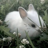 ً (@milkmolesterr) 's Twitter Profile