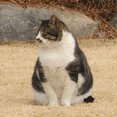 강재 | TW 구독계인